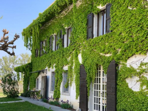 Agriturismo Tra Le Vigne